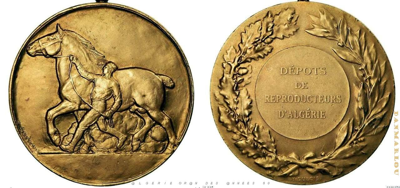 MEDAILLES D AFN - 291.jpg